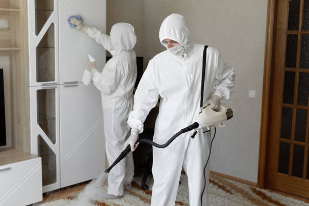 Mold Removal and Inspection in Eureka, MO