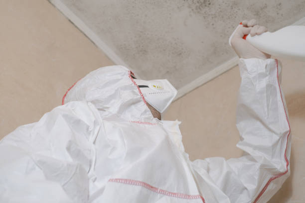 Best Local Mold Removal Service  in Eureka, MO